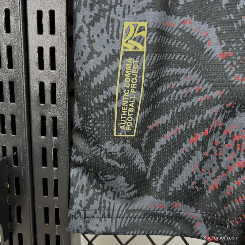 2025/26 PSG Paris Saint-Germain (CAMPEONES DE EUROPA) Grey Jersey