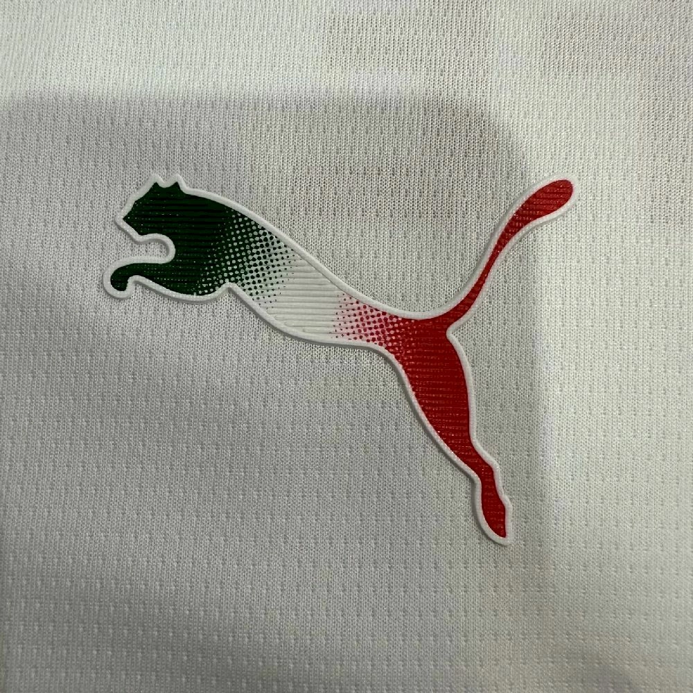 2025/26 Mens Chivas Guadalajara Away Jersey